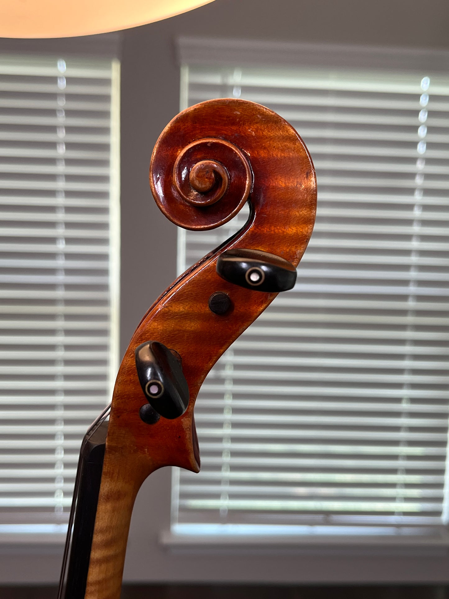 Roman Teller 16 inch Viola advanced - with Master level accents- Fluted and Flamed