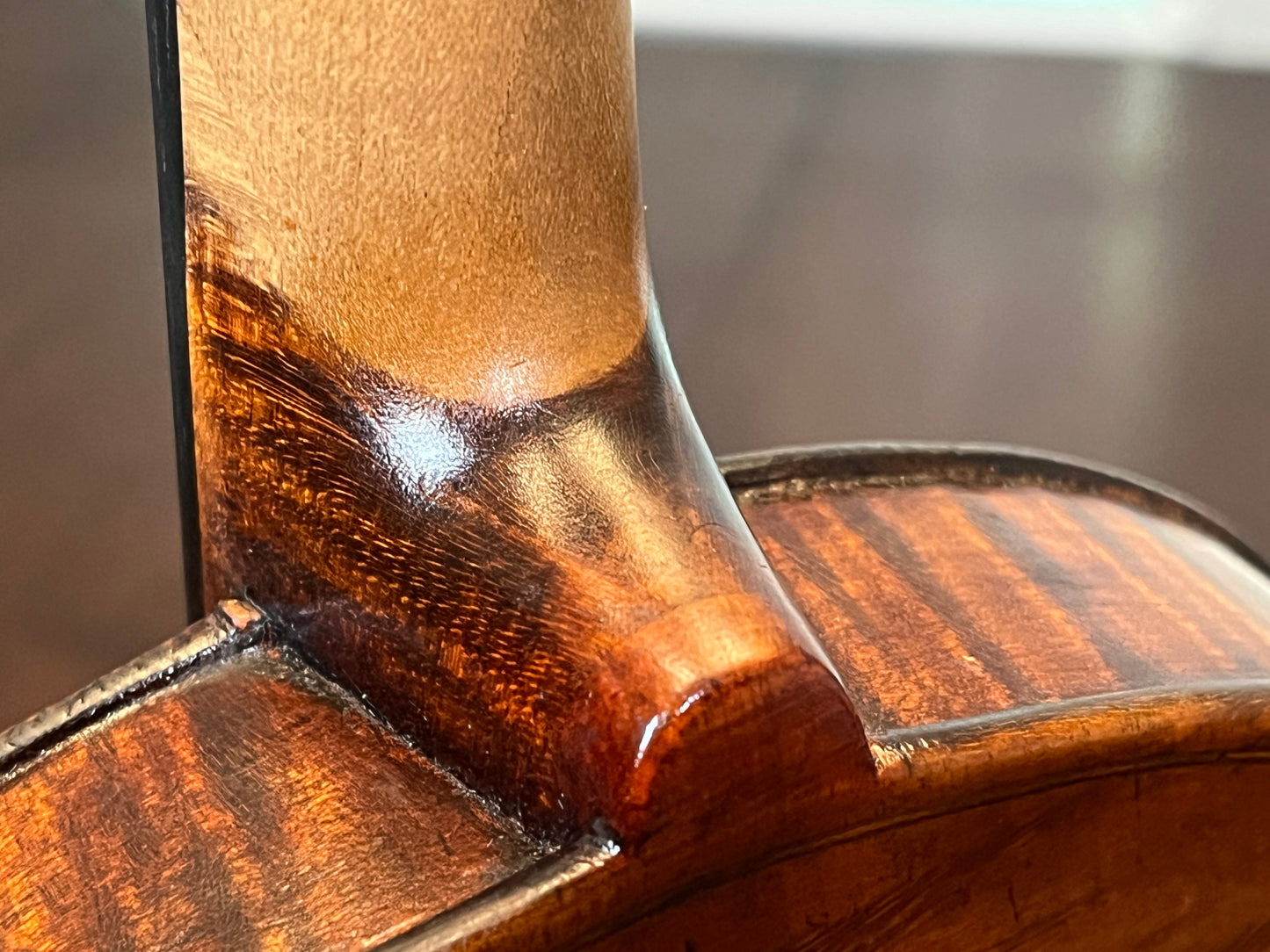 Angelic / Professional sounding Violin Full Size c. 1890 (or older) Single back, flamed