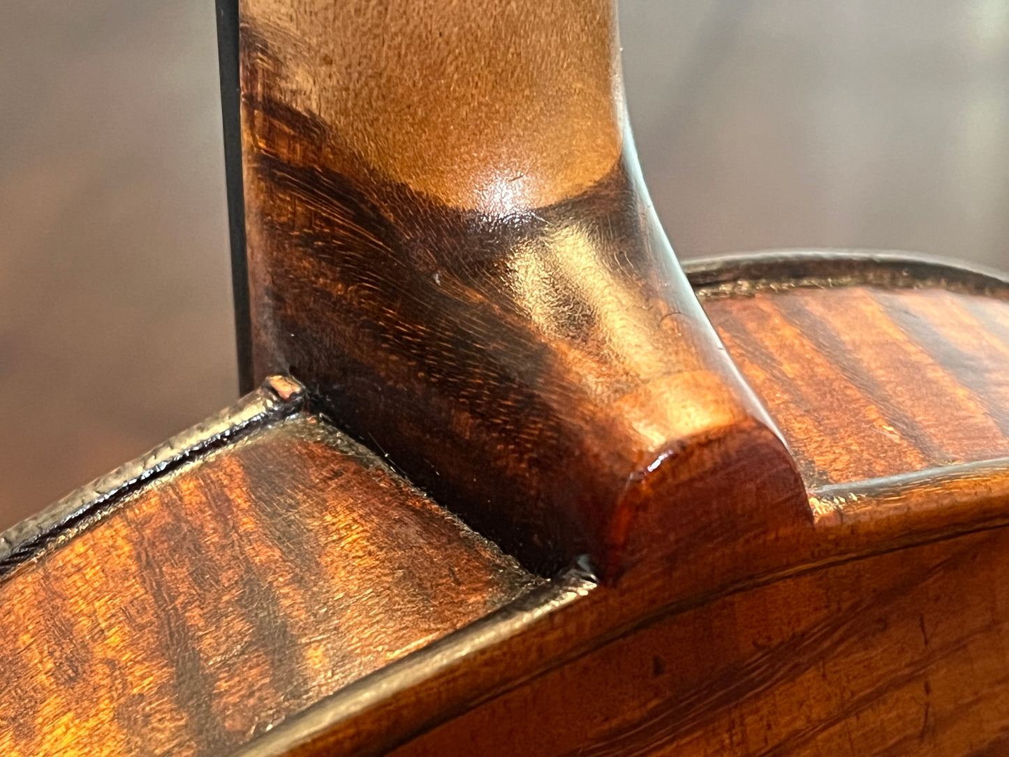 Angelic / Professional sounding Violin Full Size c. 1890 (or older) Single back, flamed