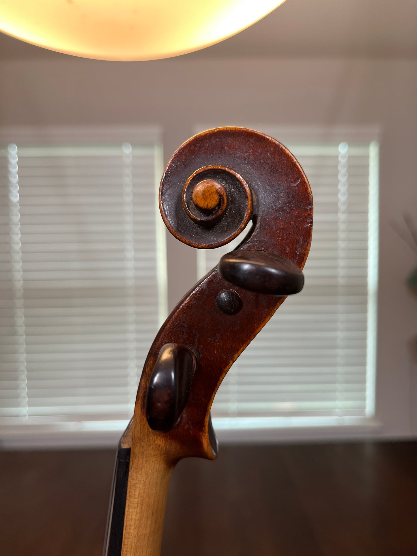 Angelic / Professional sounding Violin Full Size c. 1890 (or older) Single back, flamed