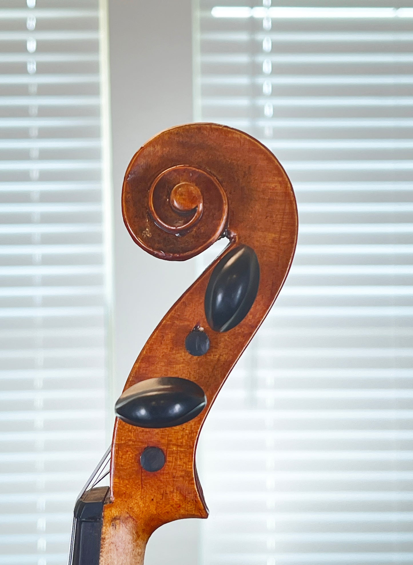 Antonio Laschevere full size violin Strad Copy 1994