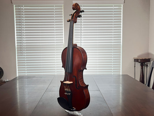 Remarkable sounding full size student violin - Mandarin Strings
