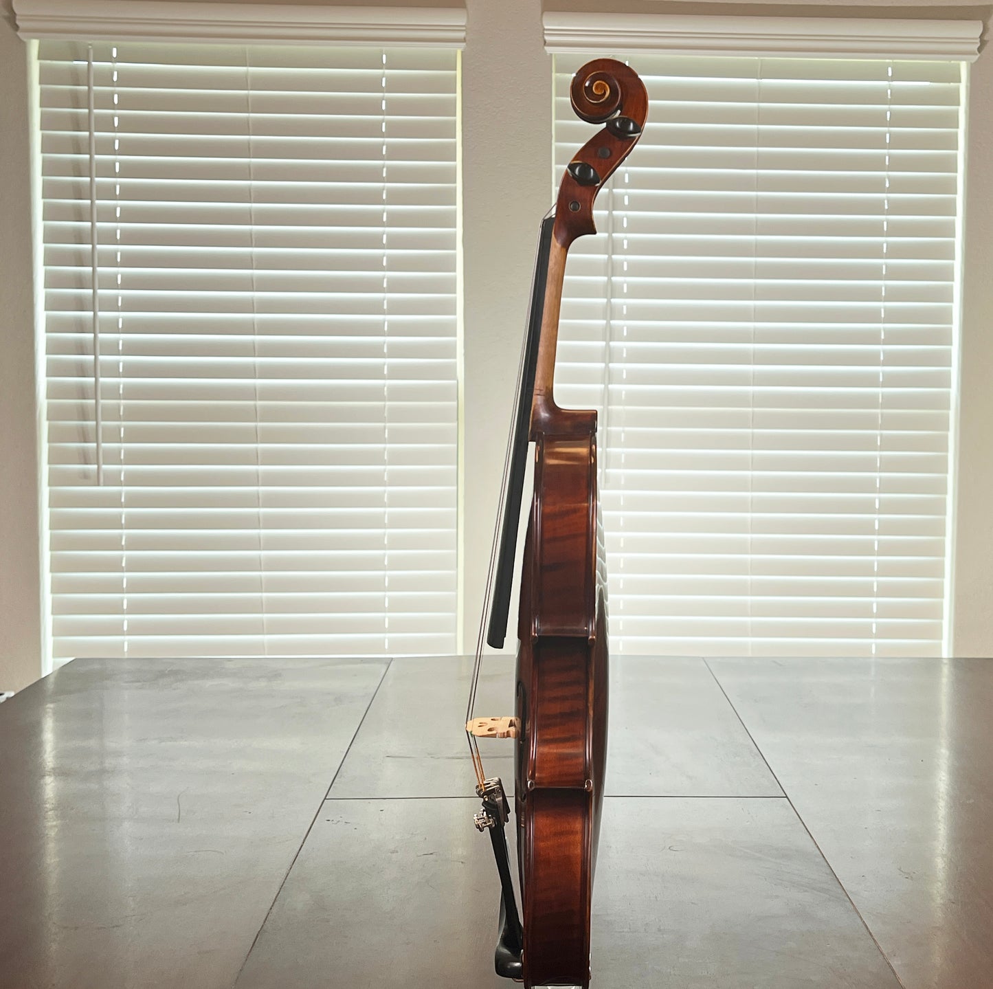 Remarkable sounding full size student violin - Mandarin Strings