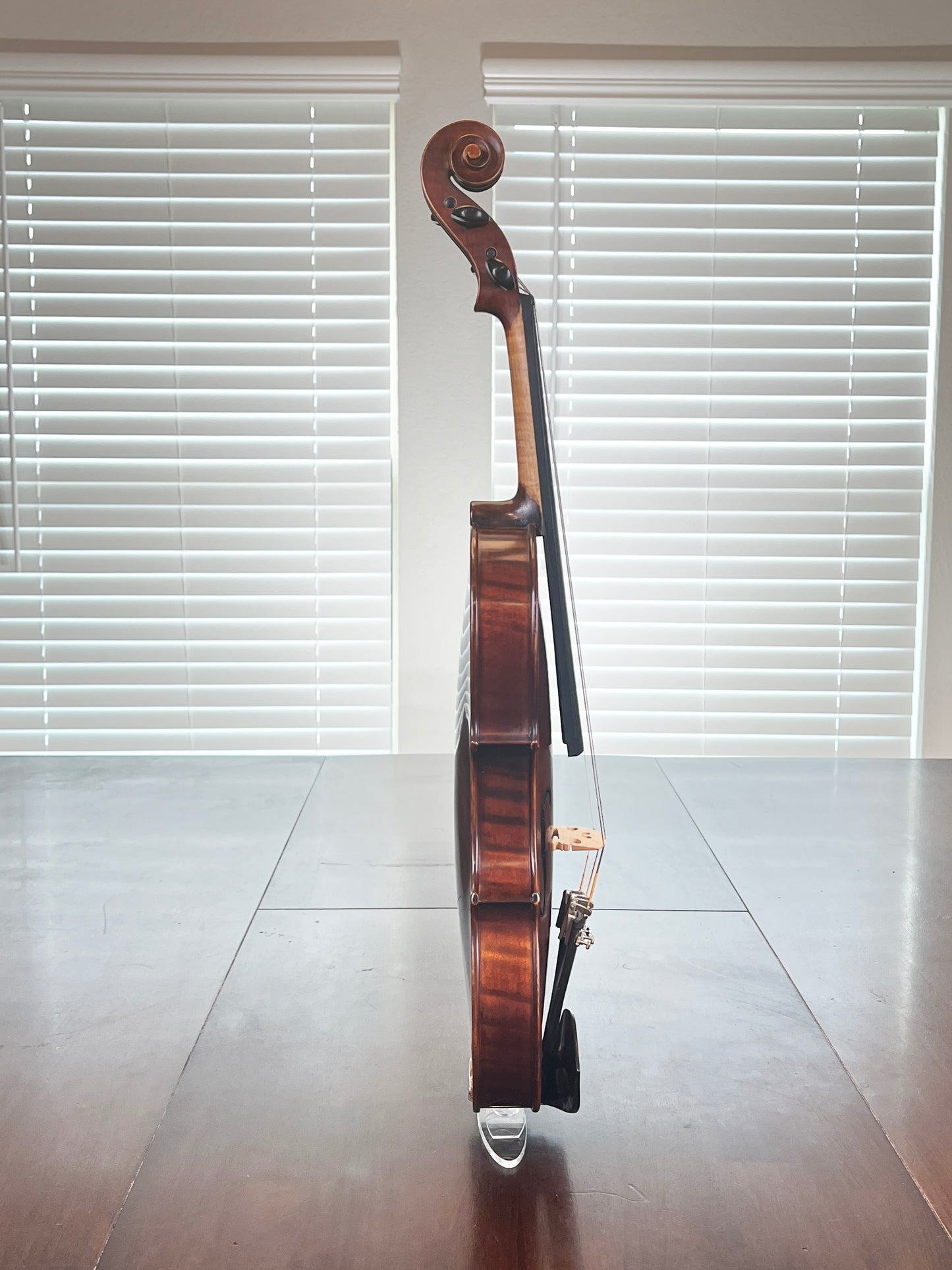Remarkable sounding full size student violin - Mandarin Strings