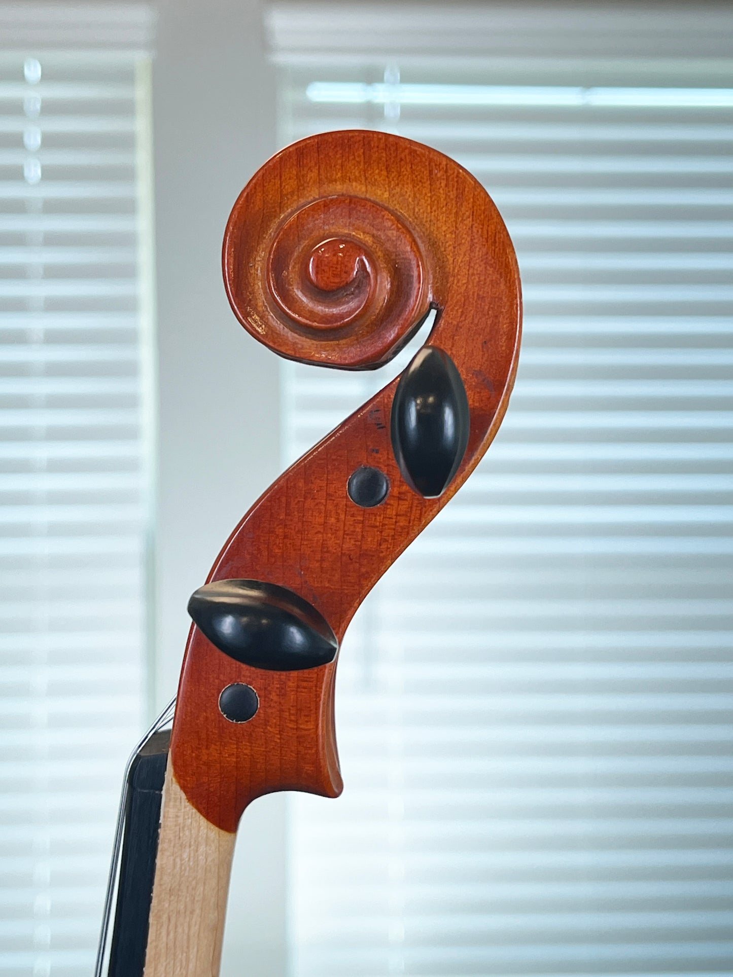 Knilling Summit Full size violin - perfect for beginner!