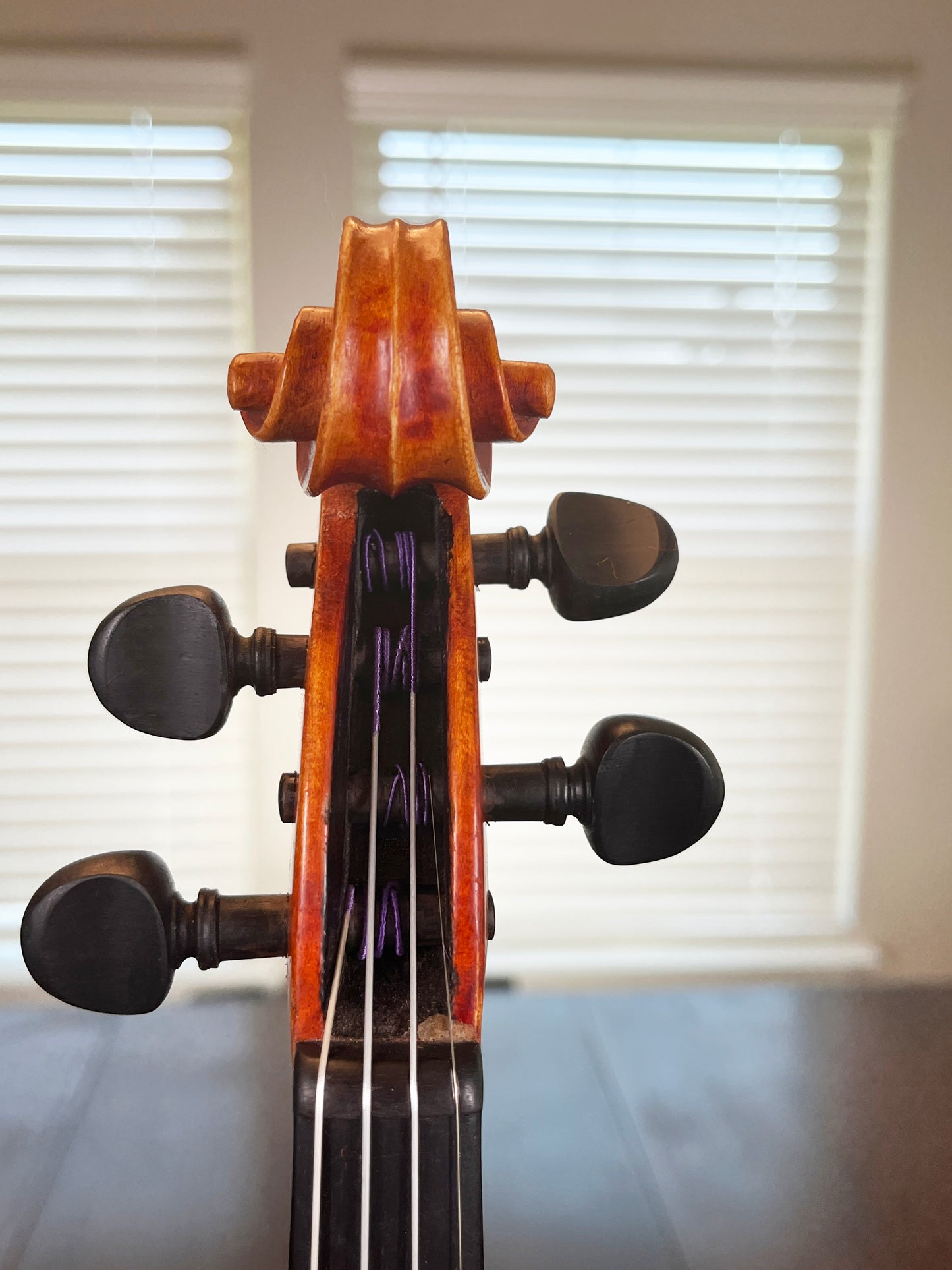 3/4 Size violin G.A. Pfretzschner 13 inch body 22 inch total length Advanced level violin