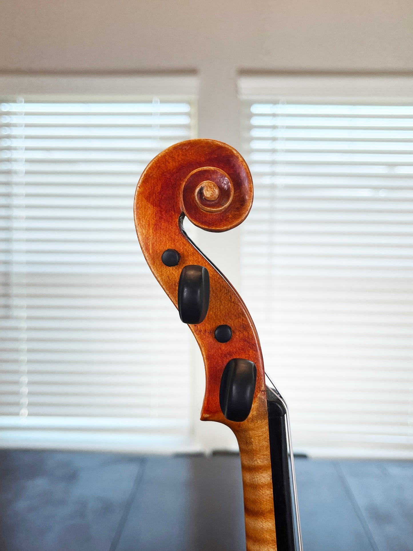 3/4 Size violin G.A. Pfretzschner 13 inch body 22 inch total length Advanced level violin