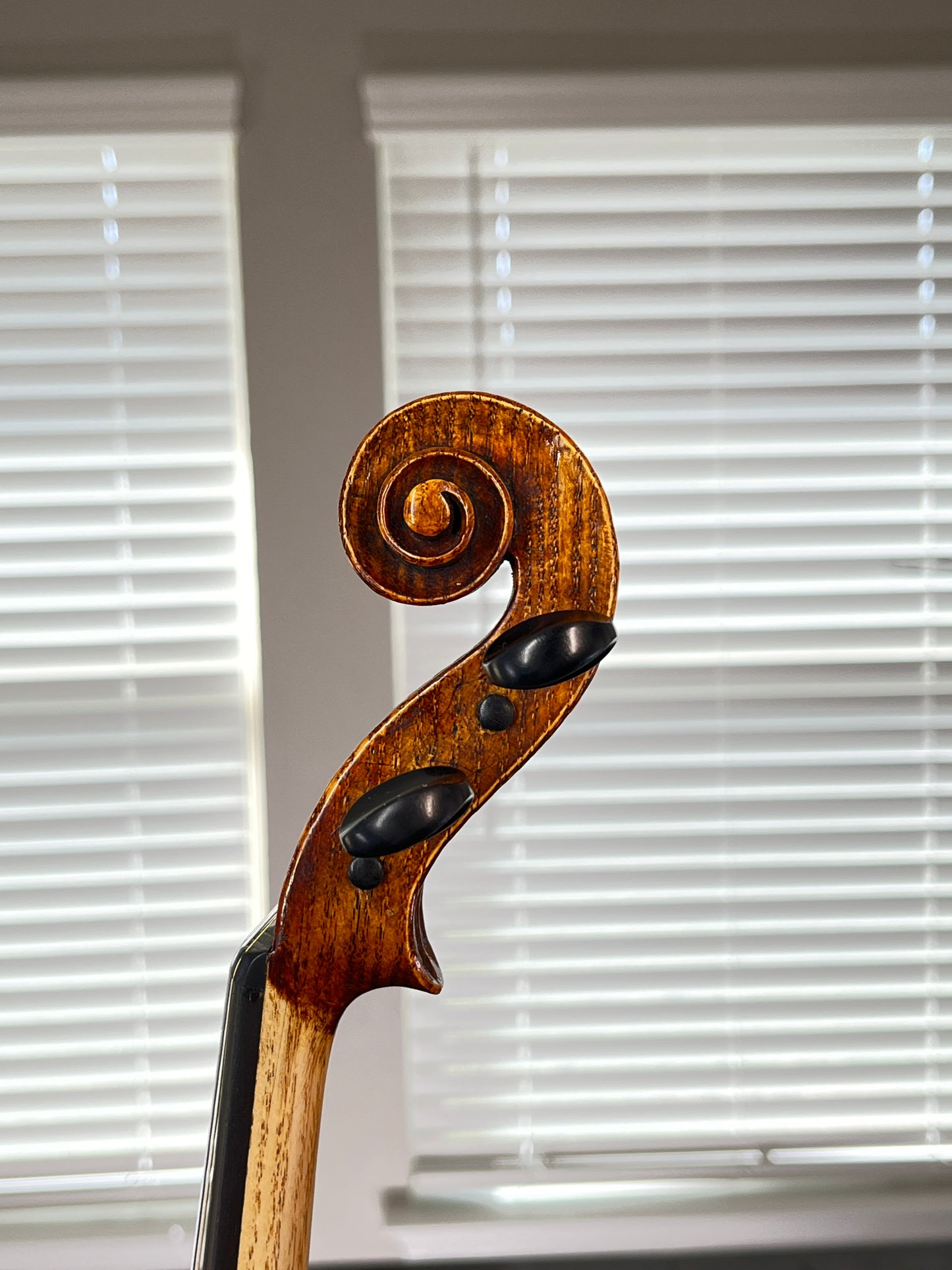 Stainer inspired violin - from the bench of - Ivan Bonev # 64 - 2024 full size 4/4