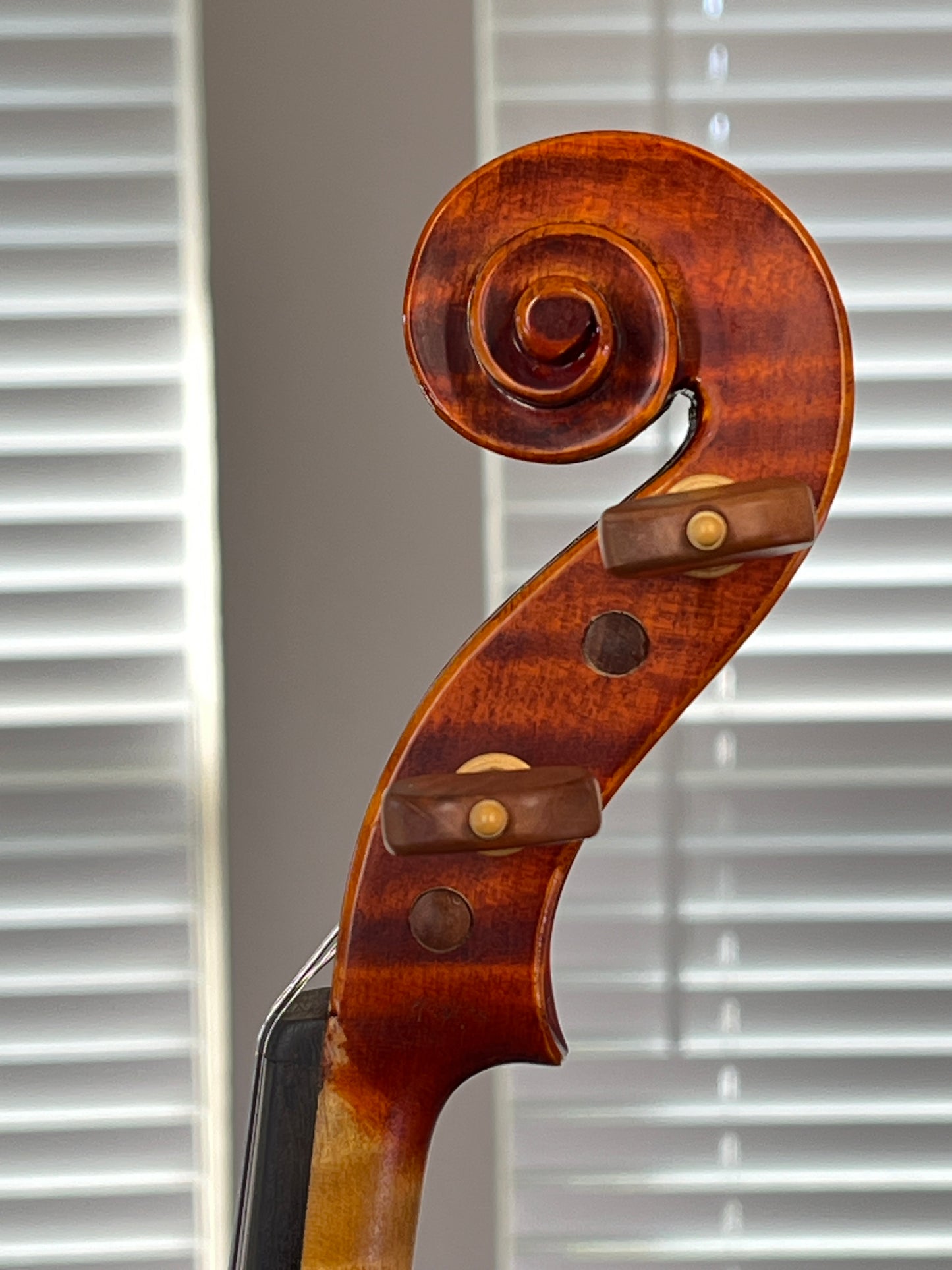 Cremona Maestro Series SV-1700 4/4 Full size Special Edition and *Discontinued* rare model