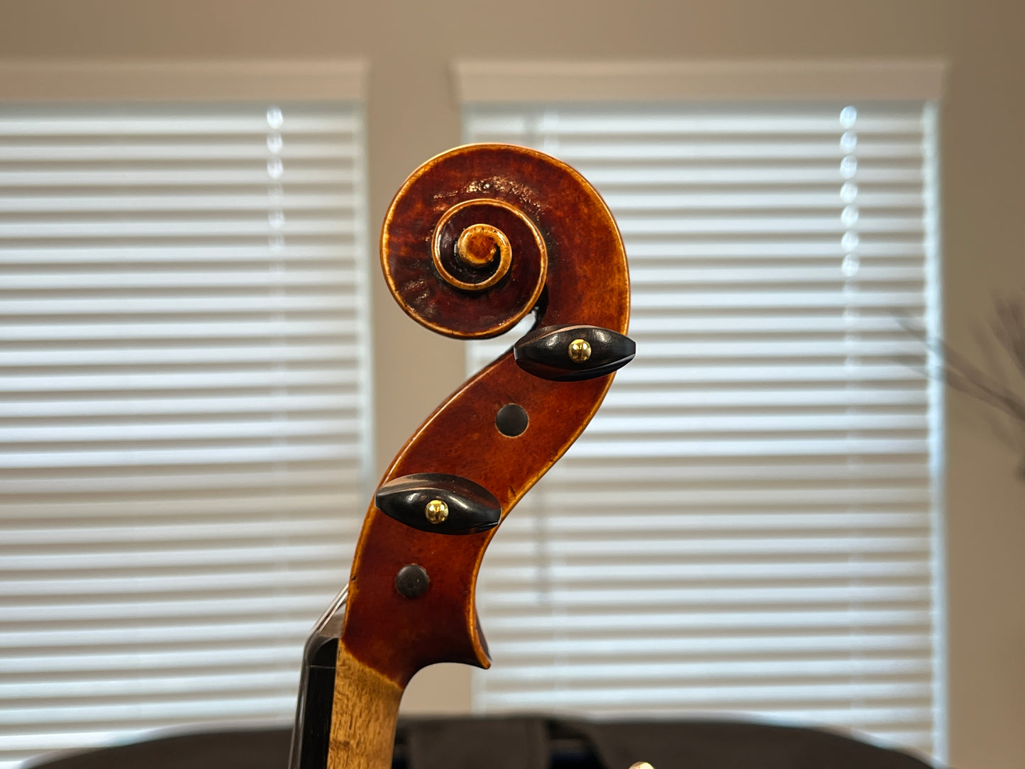 Steven Tillinghast Cundall 2013 Model C no. 107 anno 2013 - Oil Varnish