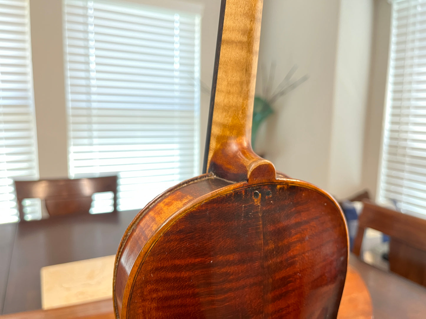 c. 1790-1810 Vintage Ludwig Steiner labeled full size violin with Dendro Analysis