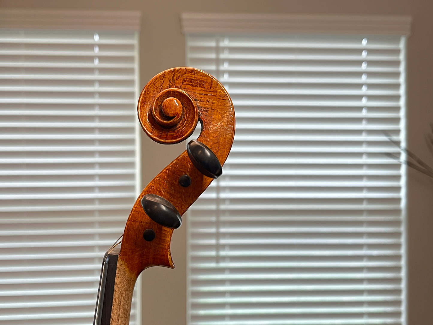 Bench / Scratch made No. 63 4/4 full size violin with sycamore wood back made by a single luthier - Ivan Bonev