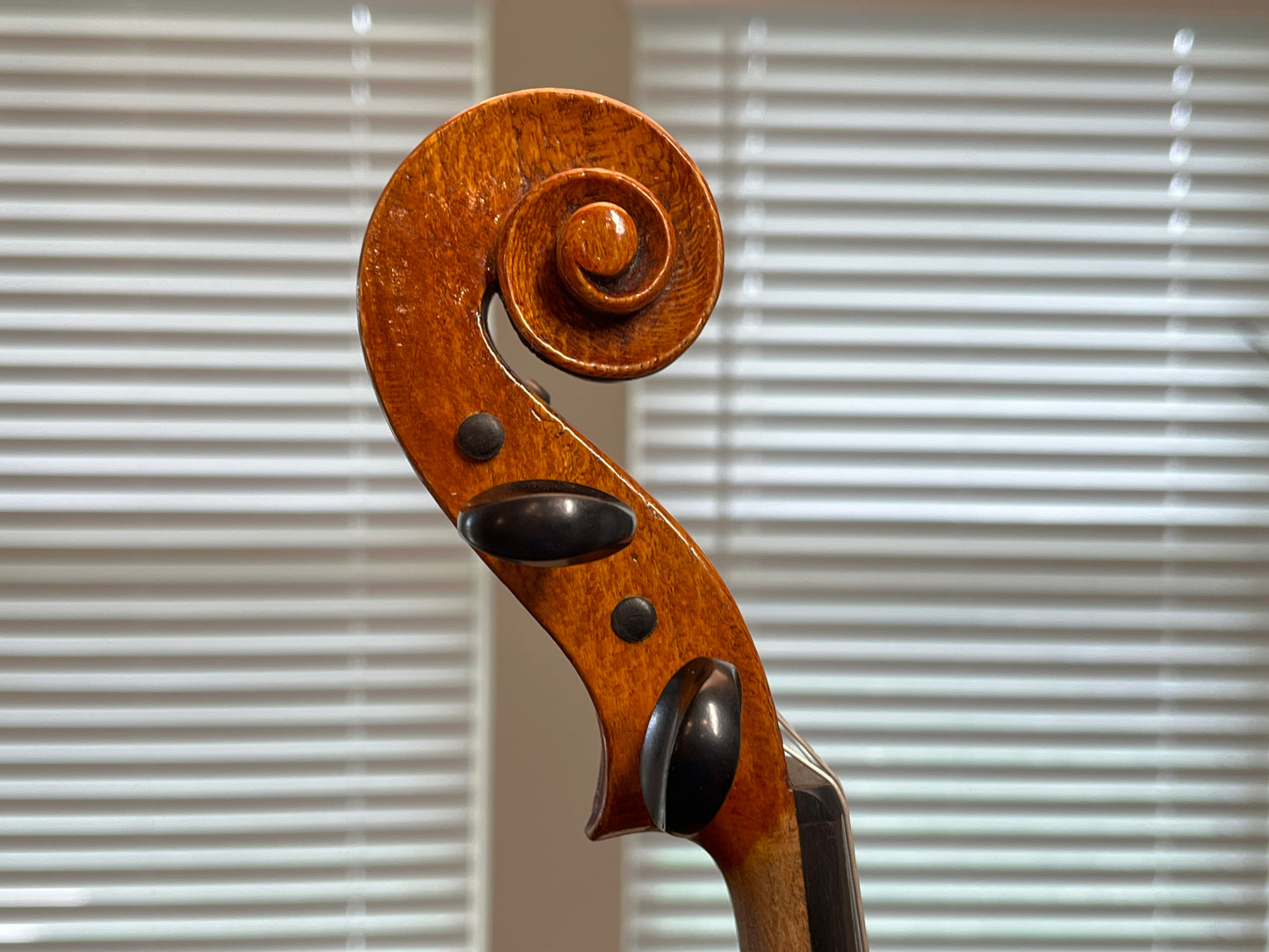 Bench / Scratch made No. 63 4/4 full size violin with sycamore wood back made by a single luthier - Ivan Bonev