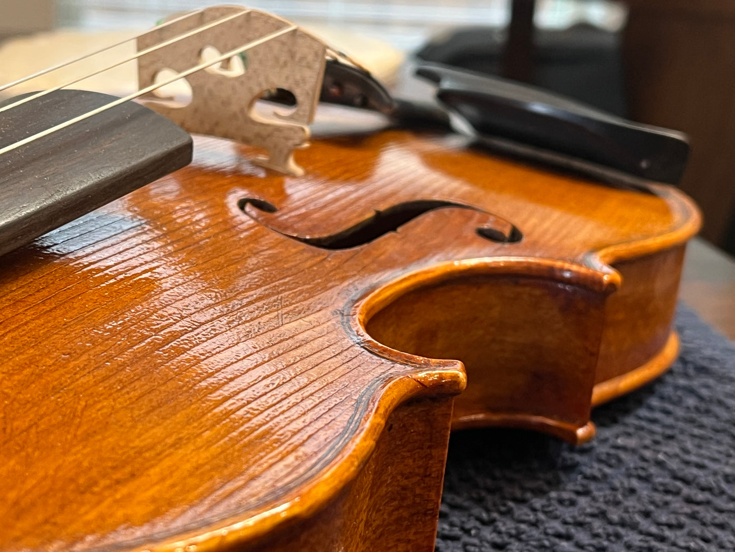 Bench / Scratch made No. 63 4/4 full size violin with sycamore wood back made by a single luthier - Ivan Bonev