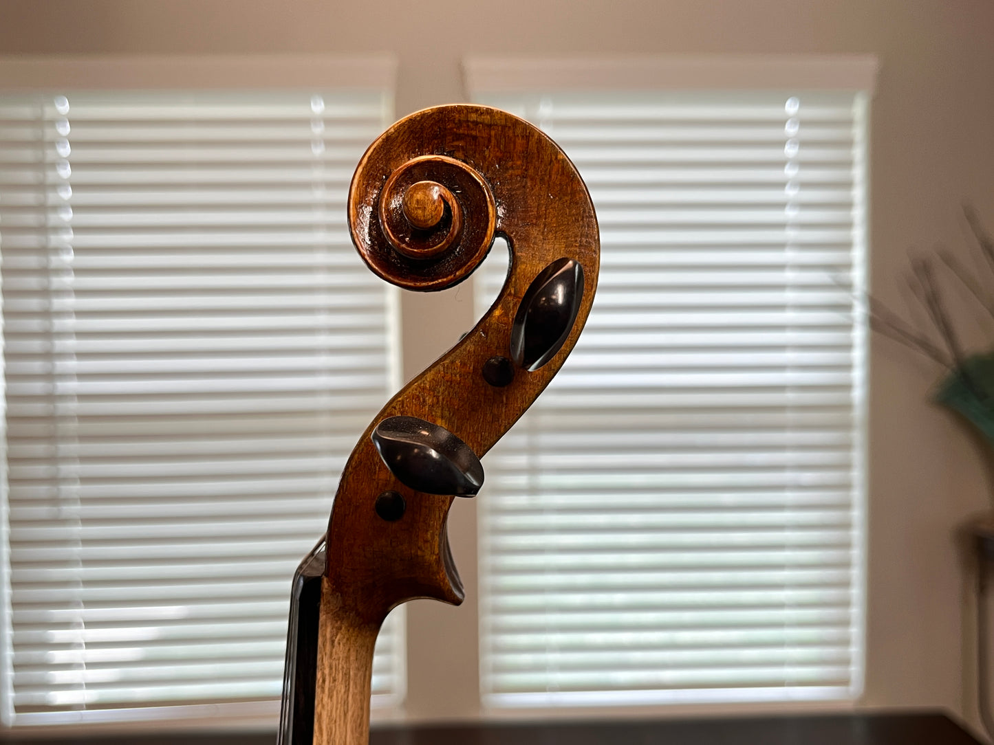 #67 Professional (Advanced and above) Bonev Violins bench made and numbered violin full size 4/4 2025 - Oil Varnish