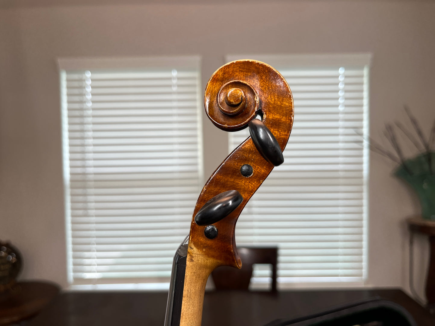 Flamed Eduard Reichart 1909 labeled full size vintage German violin