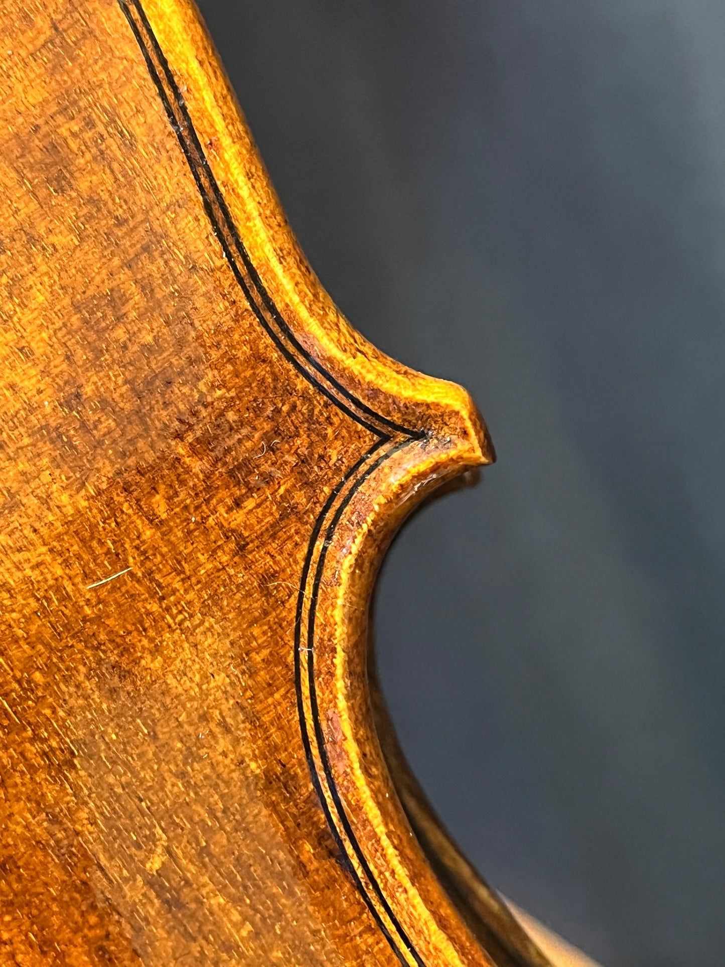 Stainer inspired violin - from the bench of - Ivan Bonev # 64 - 2024 full size 4/4