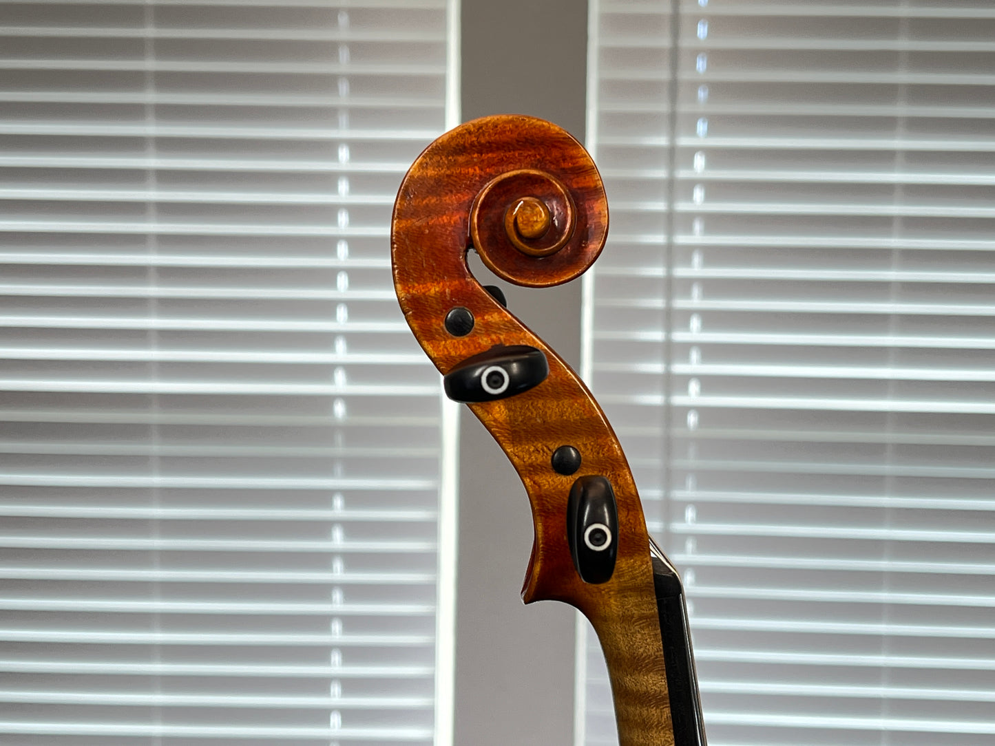 Flamed Advanced and above Albert Goetz Strad copy 1911 Full Size 4/4 Violin plain tail