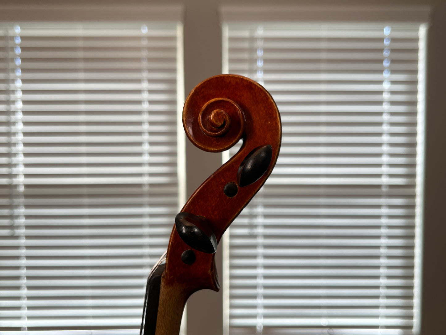Full size violin by Oklahoma Strings, Caprice model 4/4