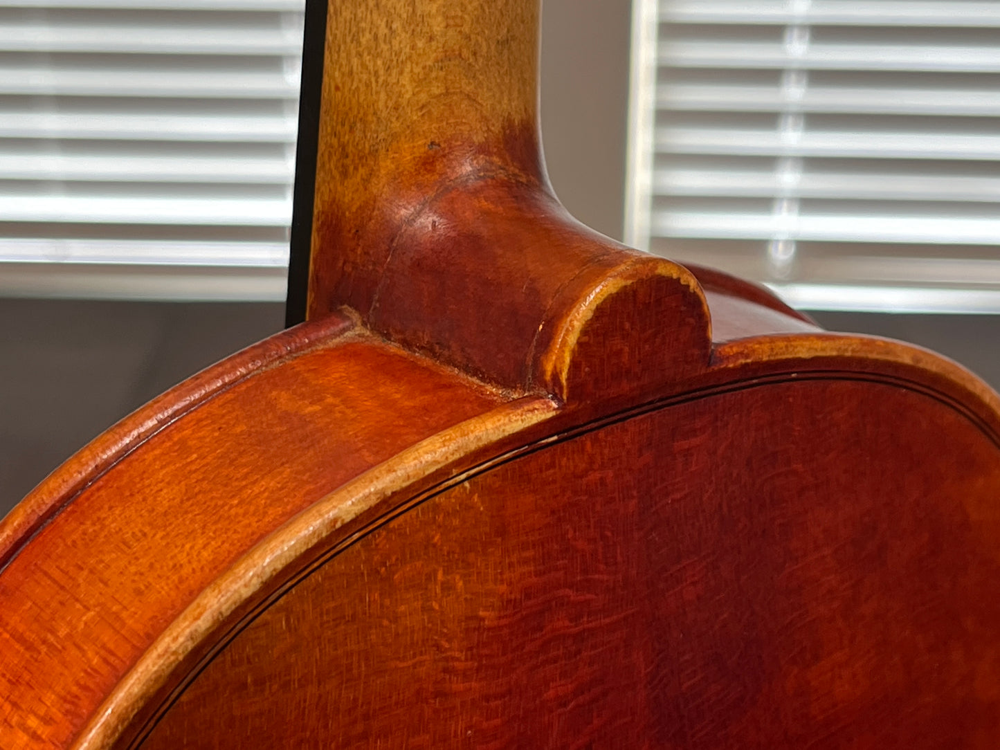 Full size violin by Oklahoma Strings, Caprice model 4/4