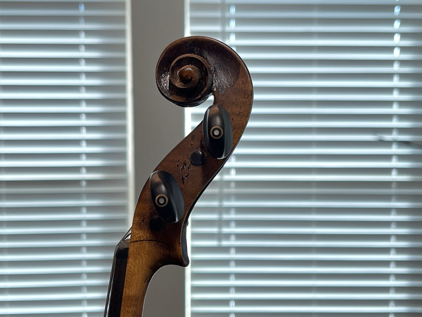 German Josef Klotz copy c. 1880-1920 single piece back violin full size 4/4