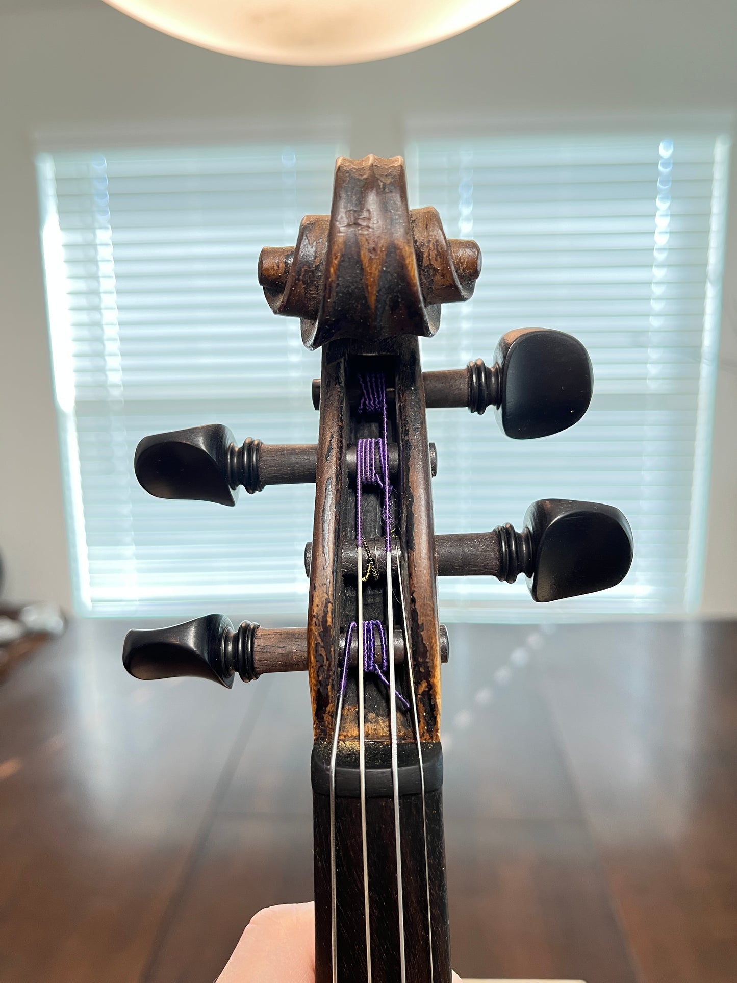 German Josef Klotz copy c. 1880-1920 single piece back violin full size 4/4
