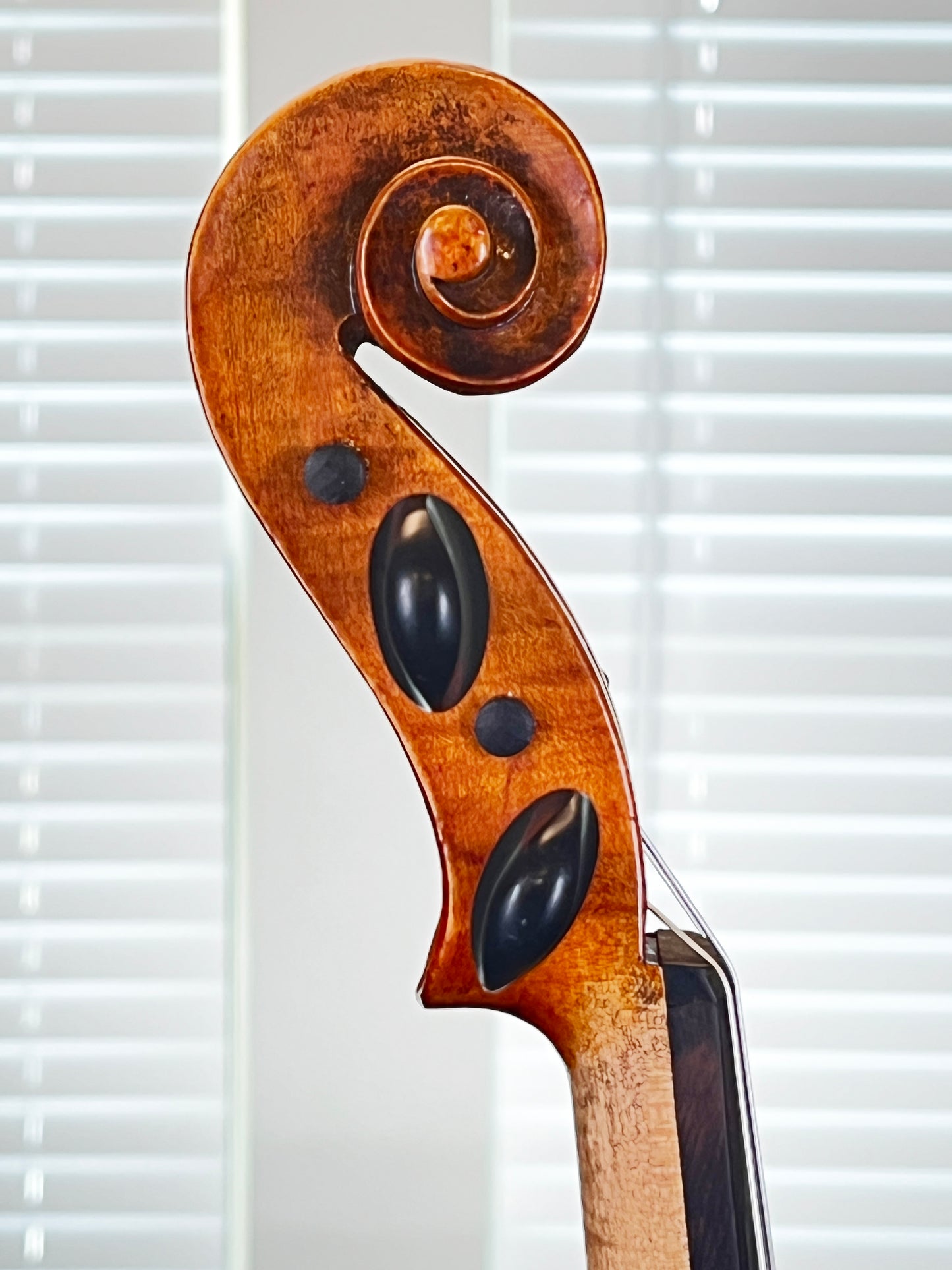 Antonio Laschevere full size violin Strad Copy 1994
