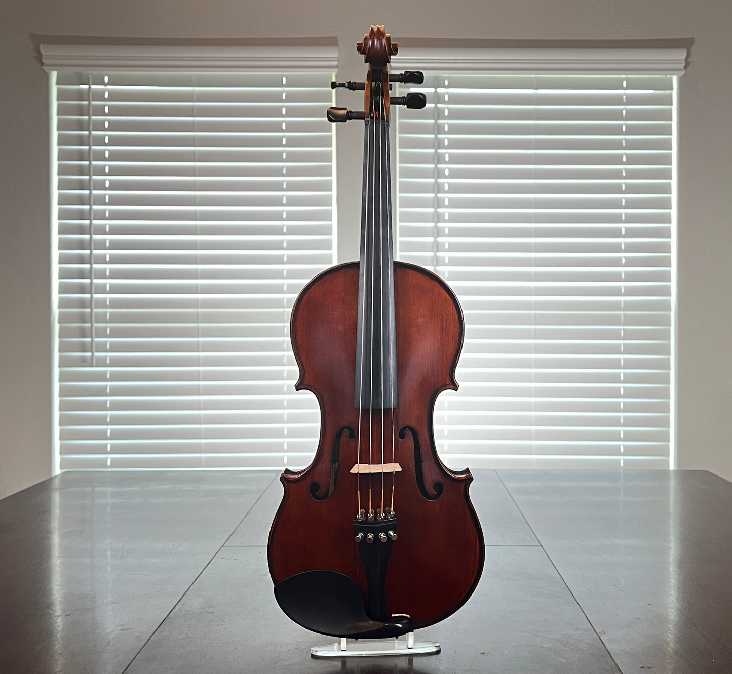 Remarkable sounding full size student violin - Mandarin Strings
