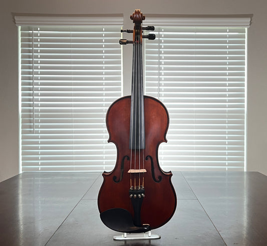 Remarkable sounding full size student violin - Mandarin Strings