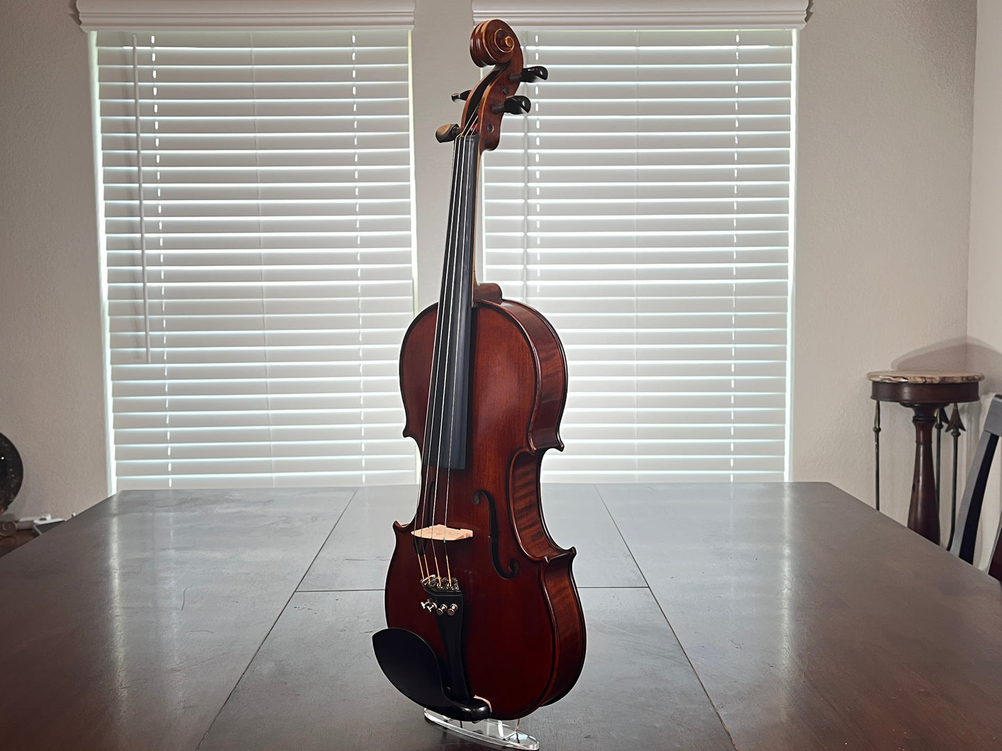 Remarkable sounding full size student violin - Mandarin Strings