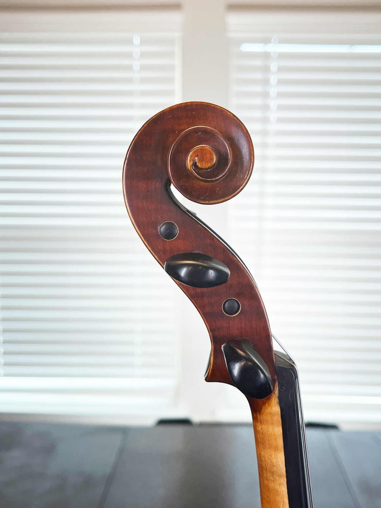 Remarkable sounding full size student violin - Mandarin Strings