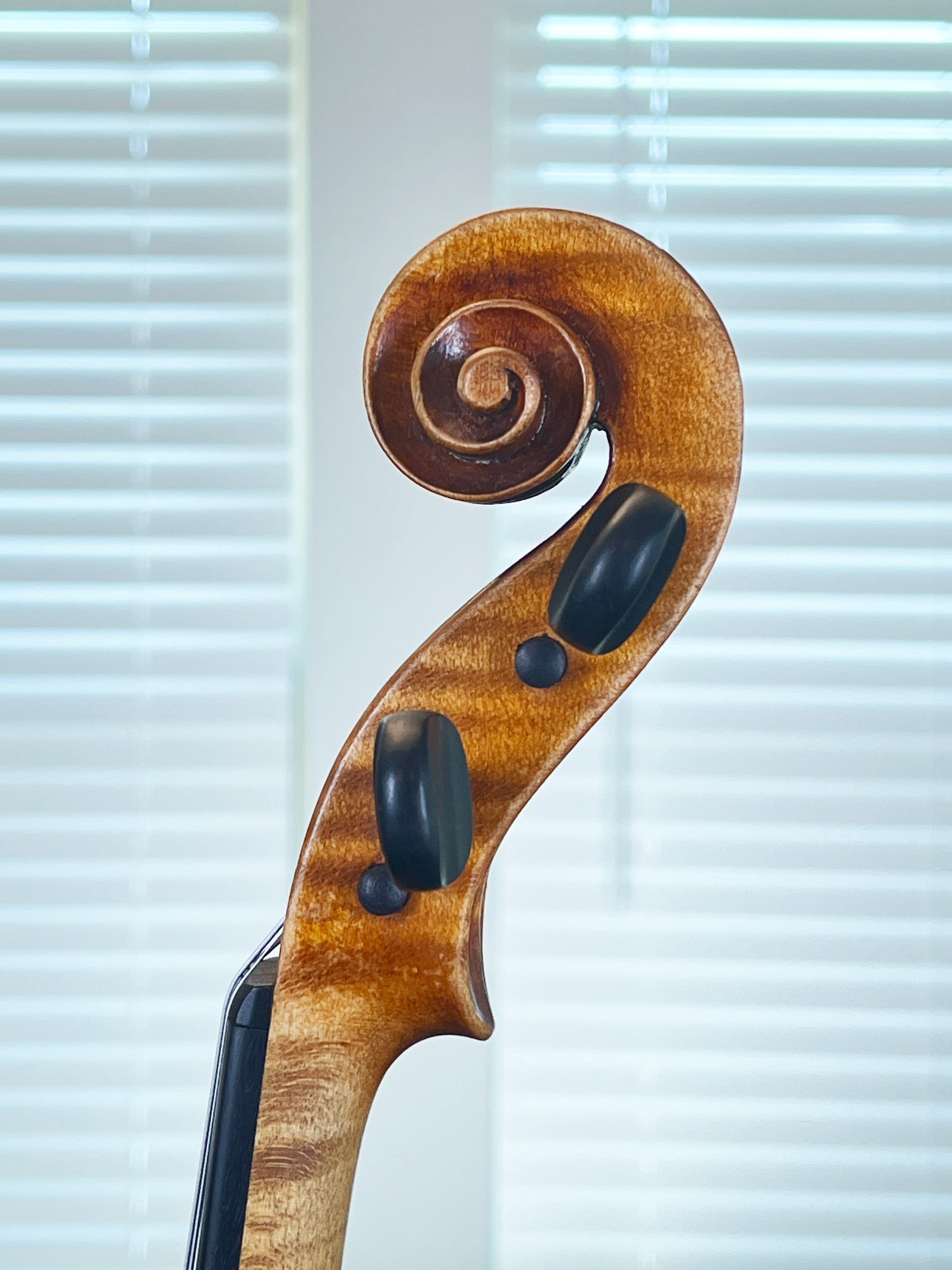 Gustav August Ficker advanced to professional violin made for William Lewis & Son Strad 1960 No. 176 4/4 Full size