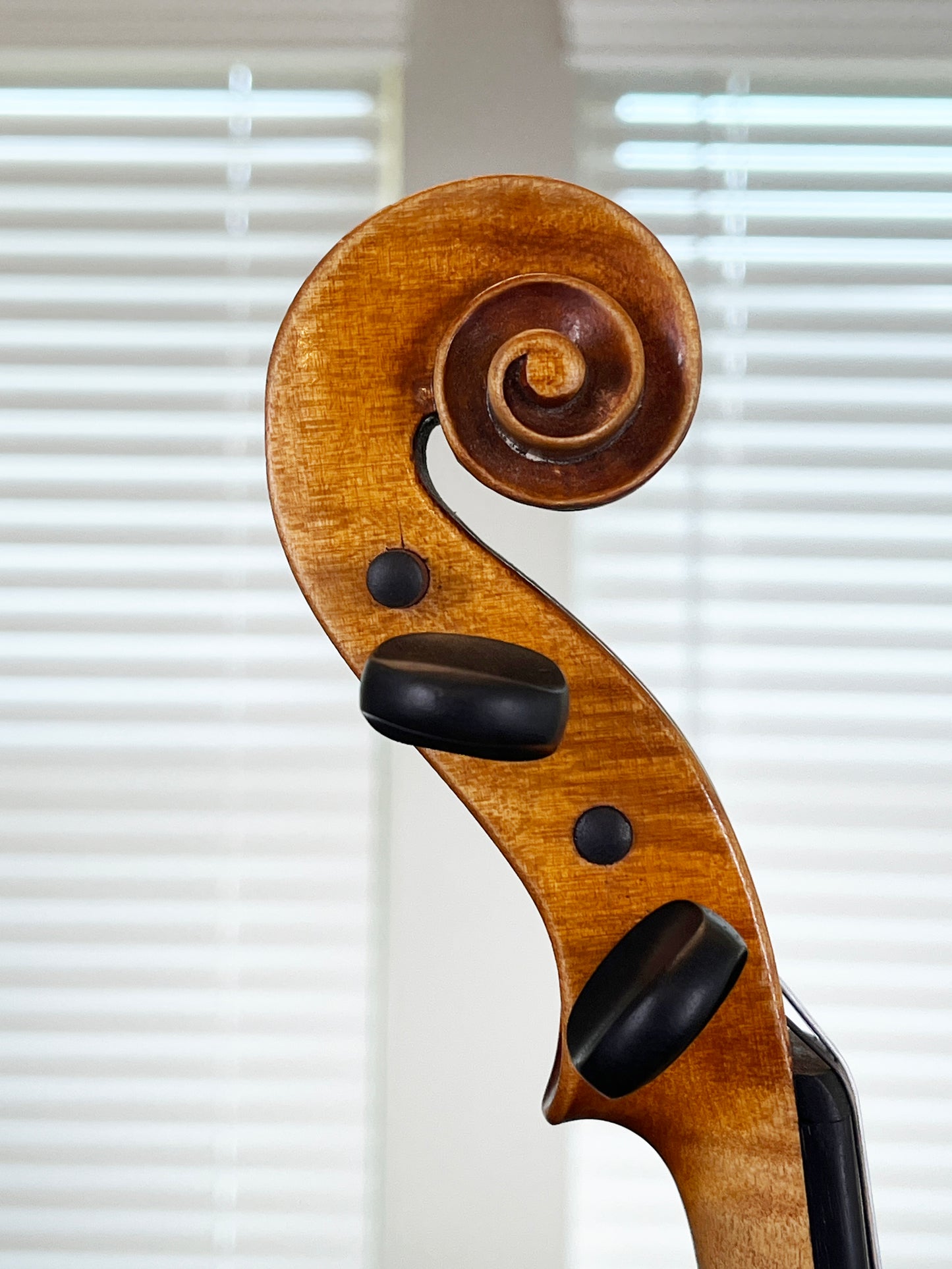 Gustav August Ficker advanced to professional violin made for William Lewis & Son Strad 1960 No. 176 4/4 Full size