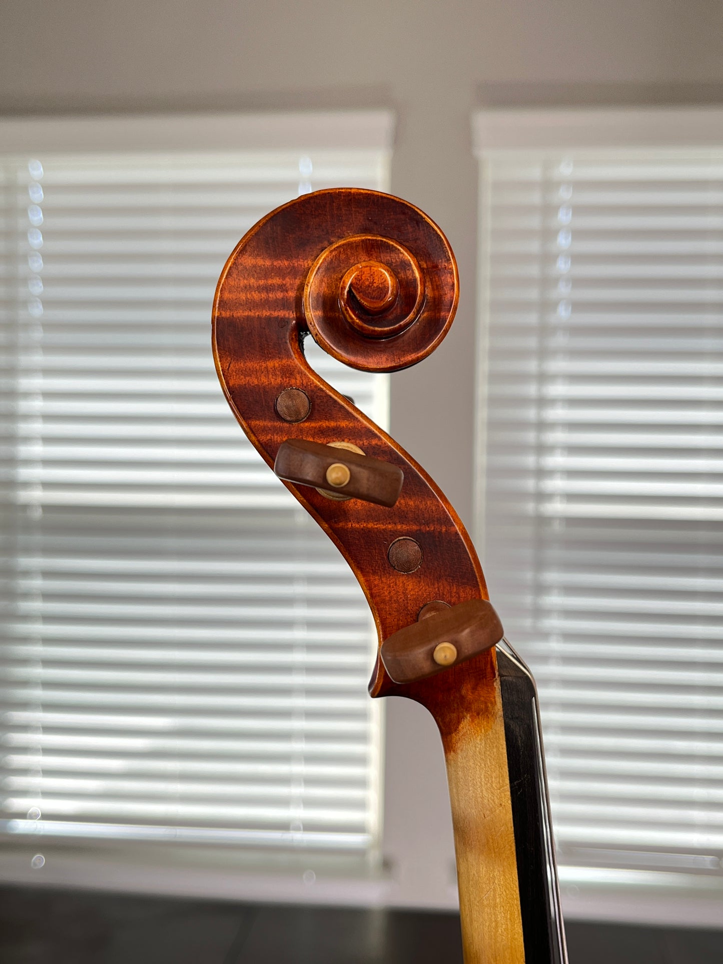Cremona Maestro Series SV-1700 4/4 Full size  Special Edition and *Discontinued* rare model