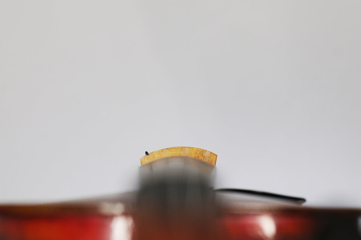 German Hermann Beyer Fiddle - full size 4/4