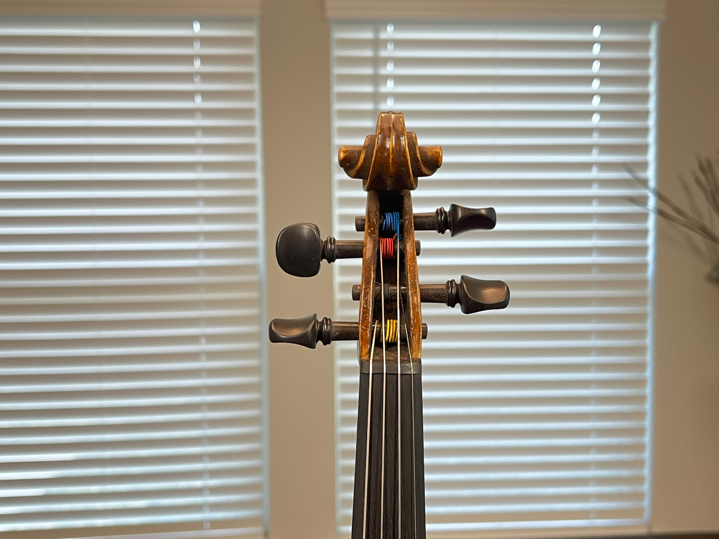 Powerful Stainer Full Size violin or fiddle 4/4 C. 1890 Likely German or Austrian