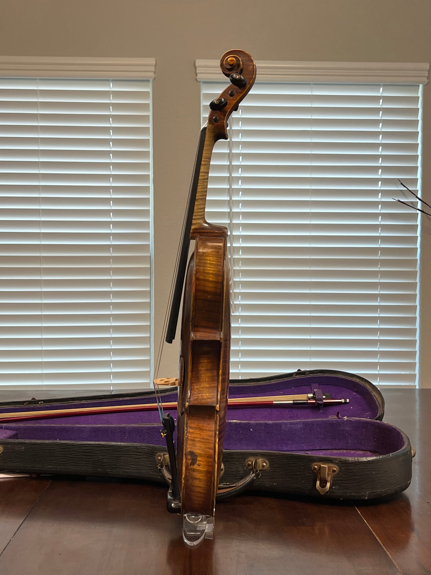 Powerful Stainer Full Size violin or fiddle 4/4 C. 1890 Likely German or Austrian