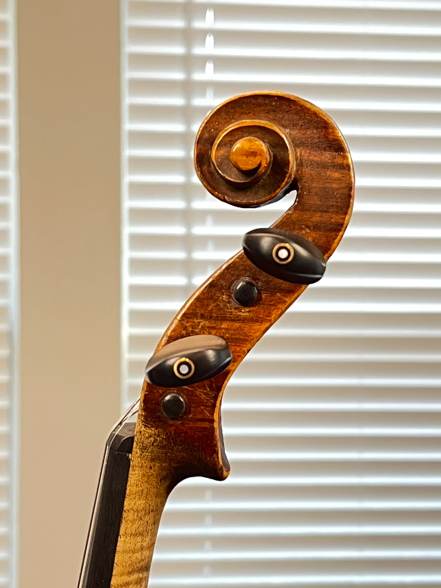 Powerful Stainer Full Size violin or fiddle 4/4 C. 1890 Likely German or Austrian