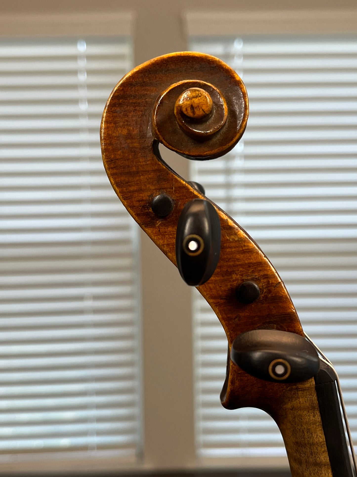 Powerful Stainer Full Size violin or fiddle 4/4 C. 1890 Likely German or Austrian