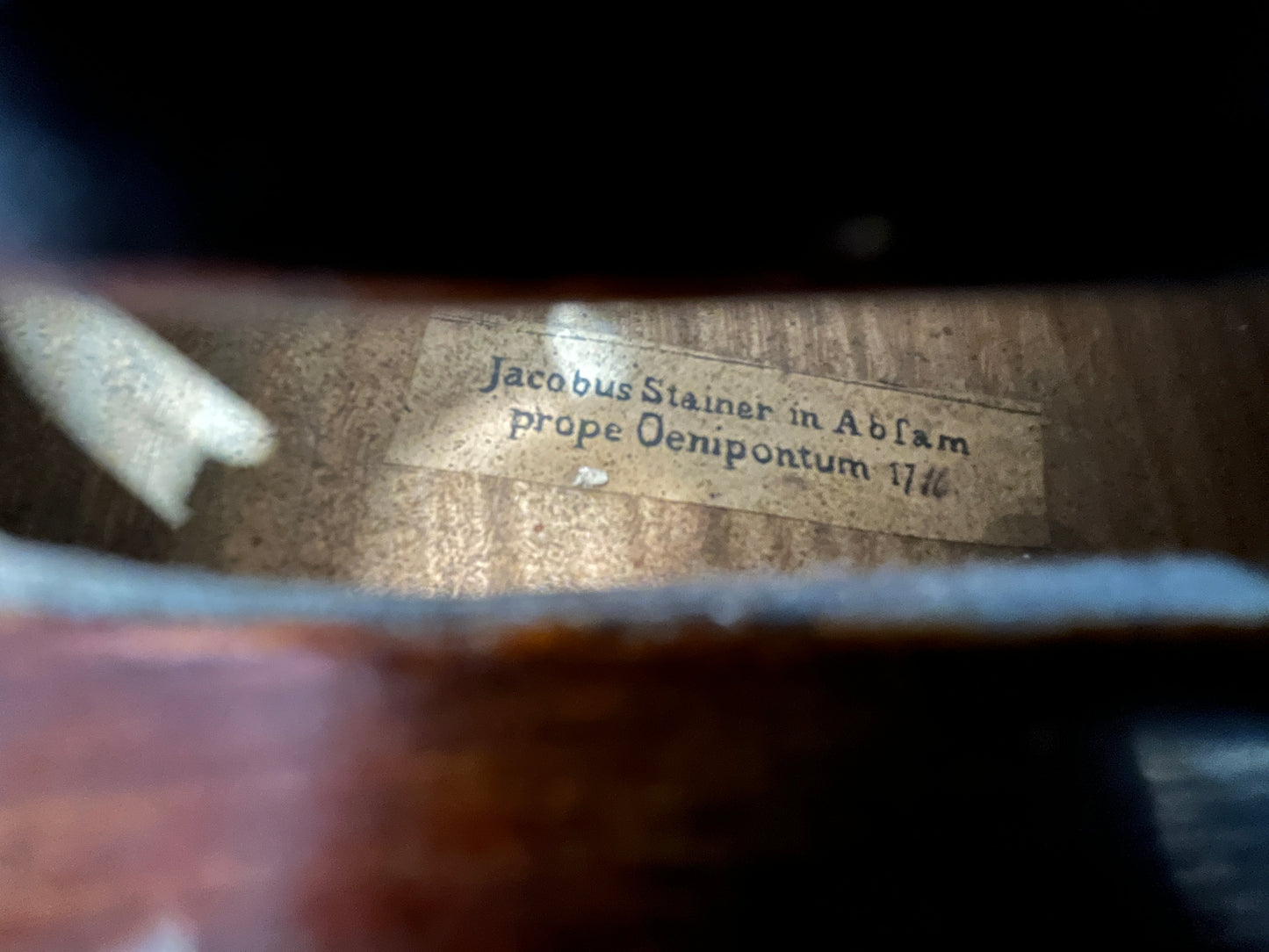 Powerful Stainer Full Size violin or fiddle 4/4 C. 1890 Likely German or Austrian