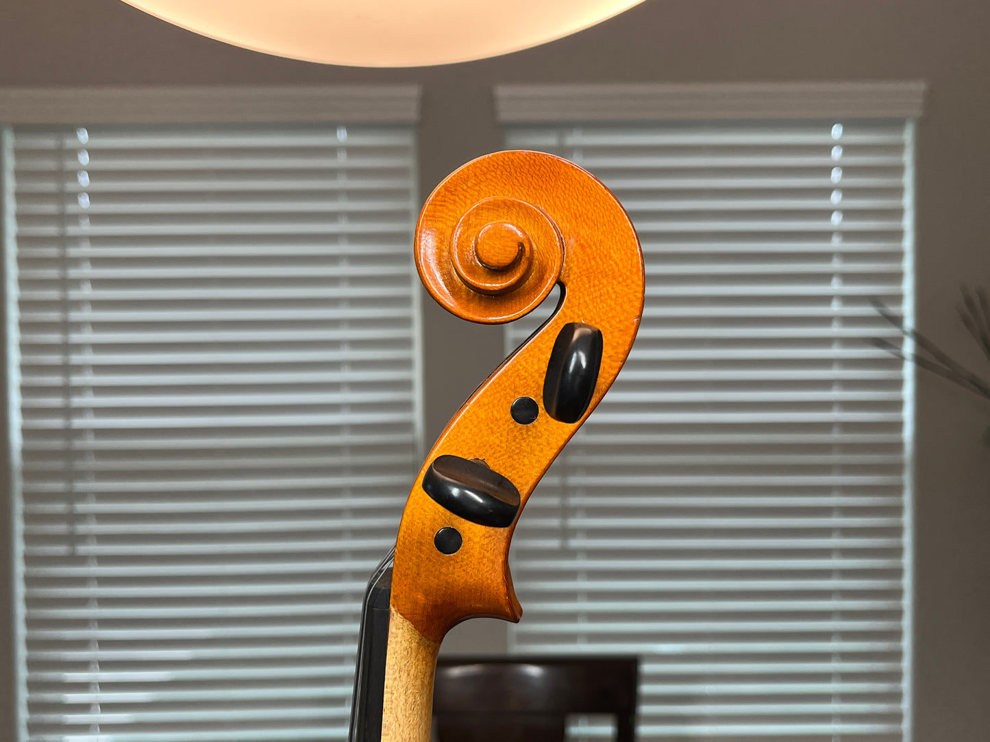 William Lewis & Son Viola 15.5" inch Ready to perform