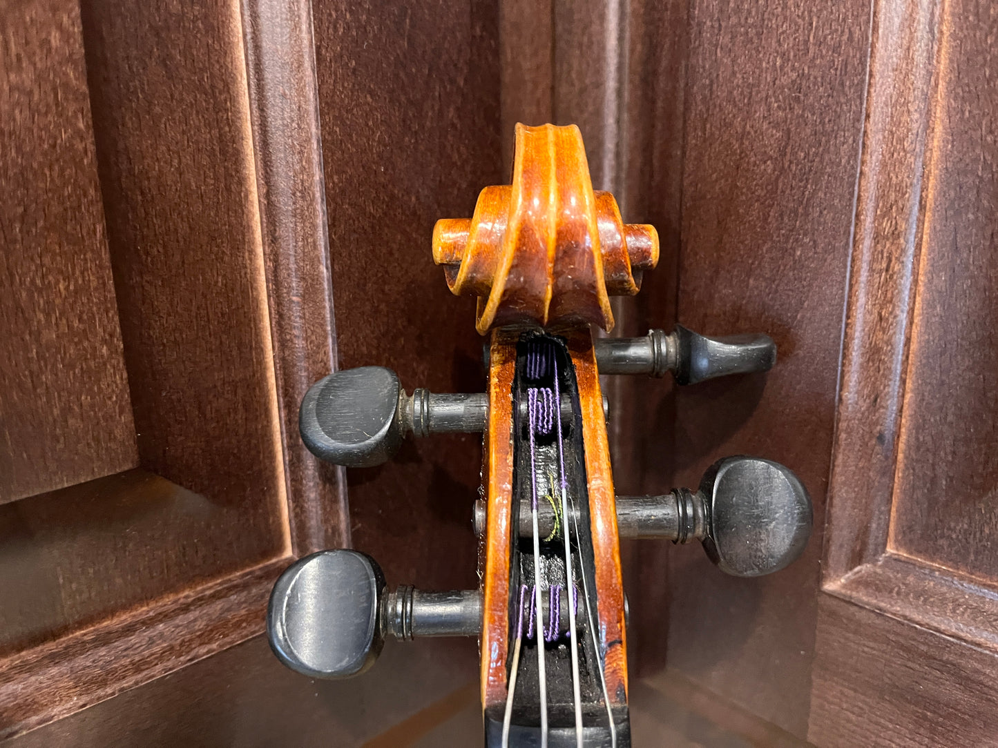 Full size Vintage E.R. Pfretzschner Strad Copy 1963 4/4 Single piece back