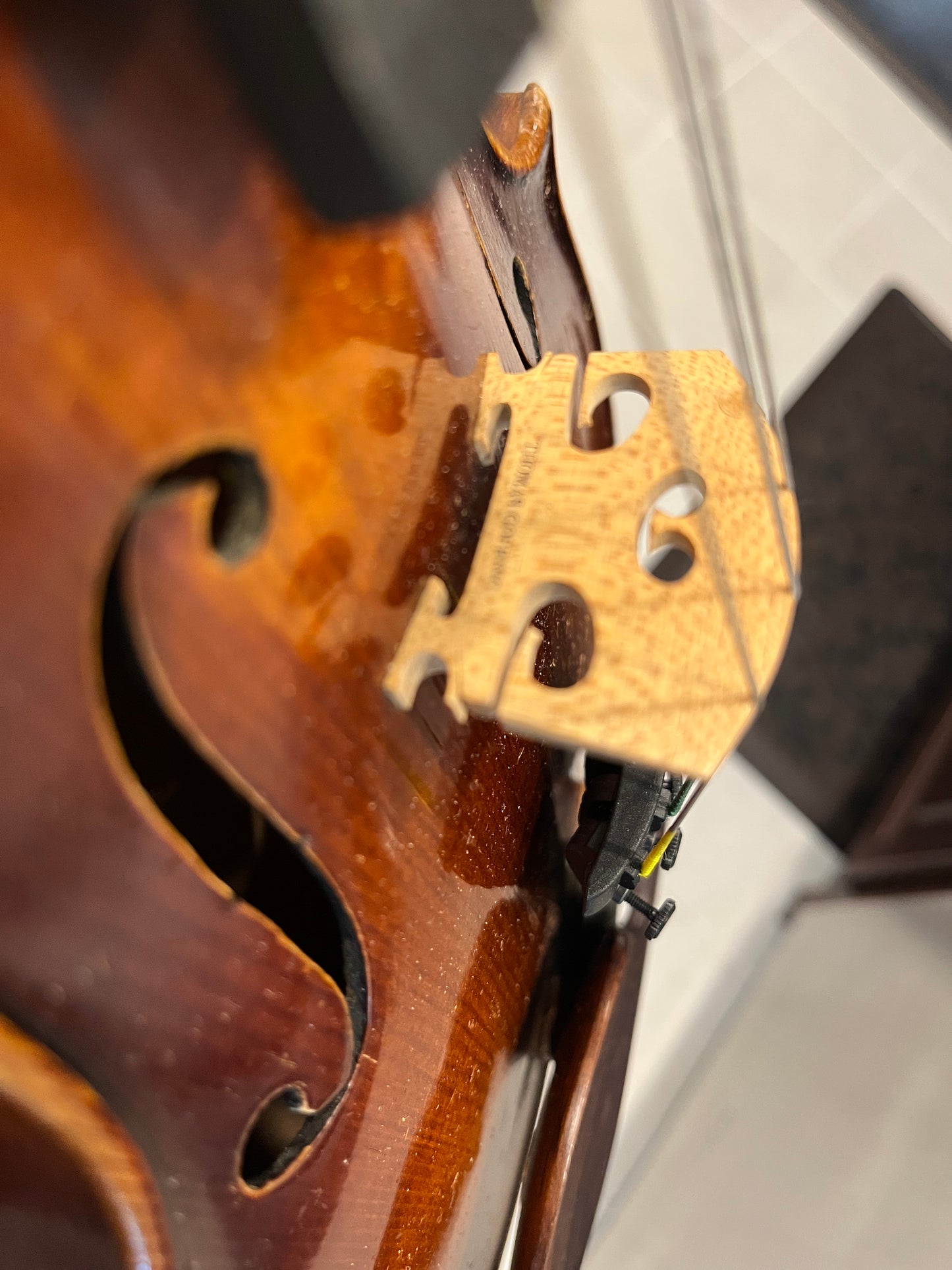 Full size Vintage E.R. Pfretzschner Strad Copy 1963 4/4 Single piece back