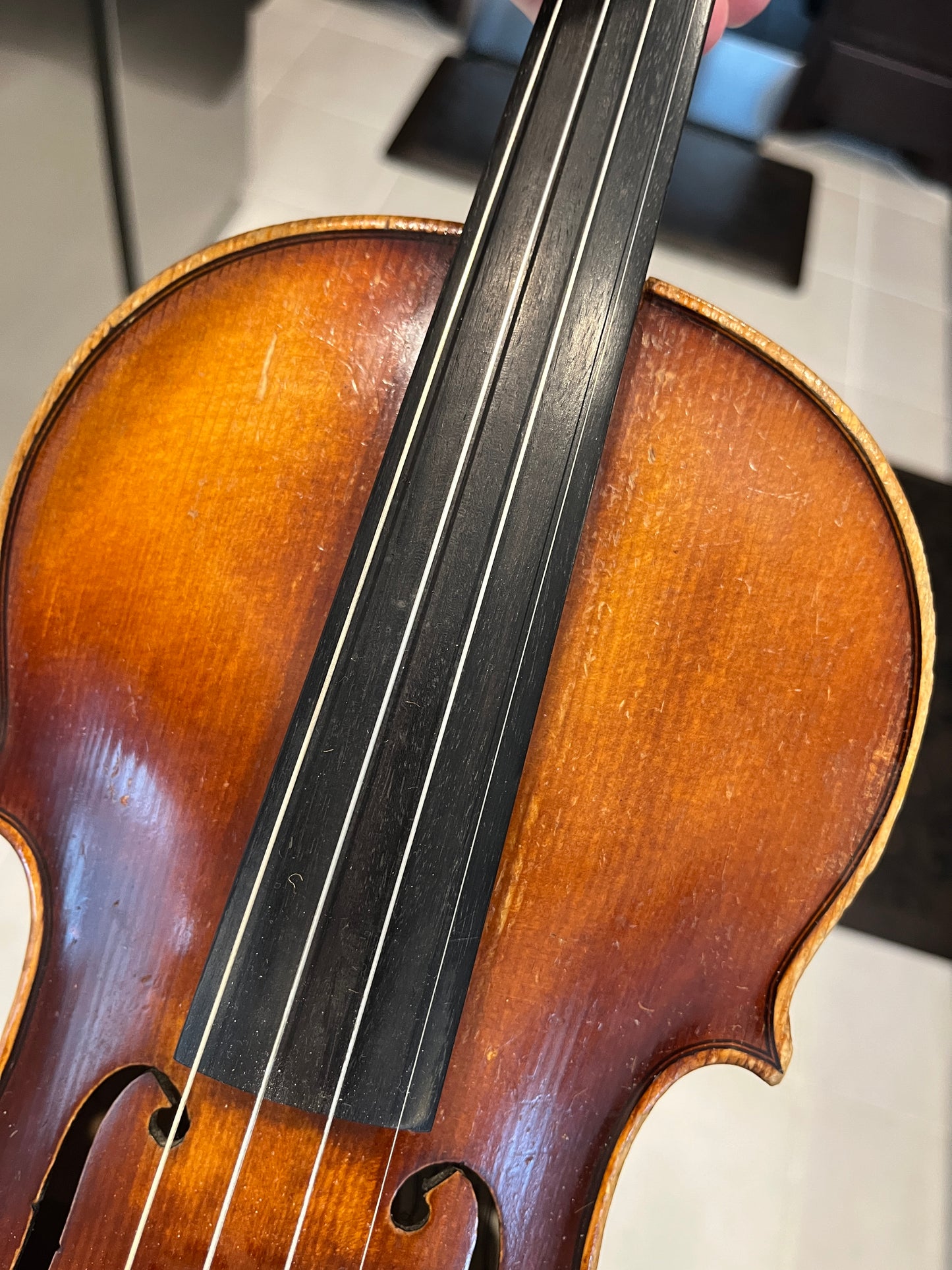 Full size Vintage E.R. Pfretzschner Strad Copy 1963 4/4 Single piece back