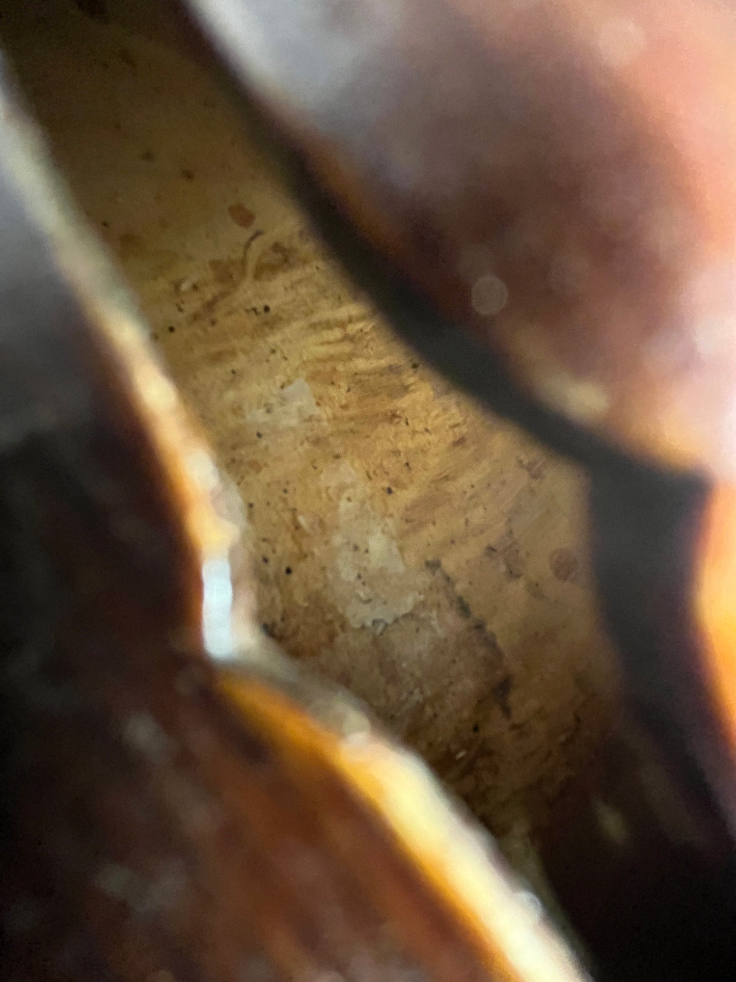 Powerful projection Unbranded Flamed and fluted Violin c. 1880-1920 with demo sound sample