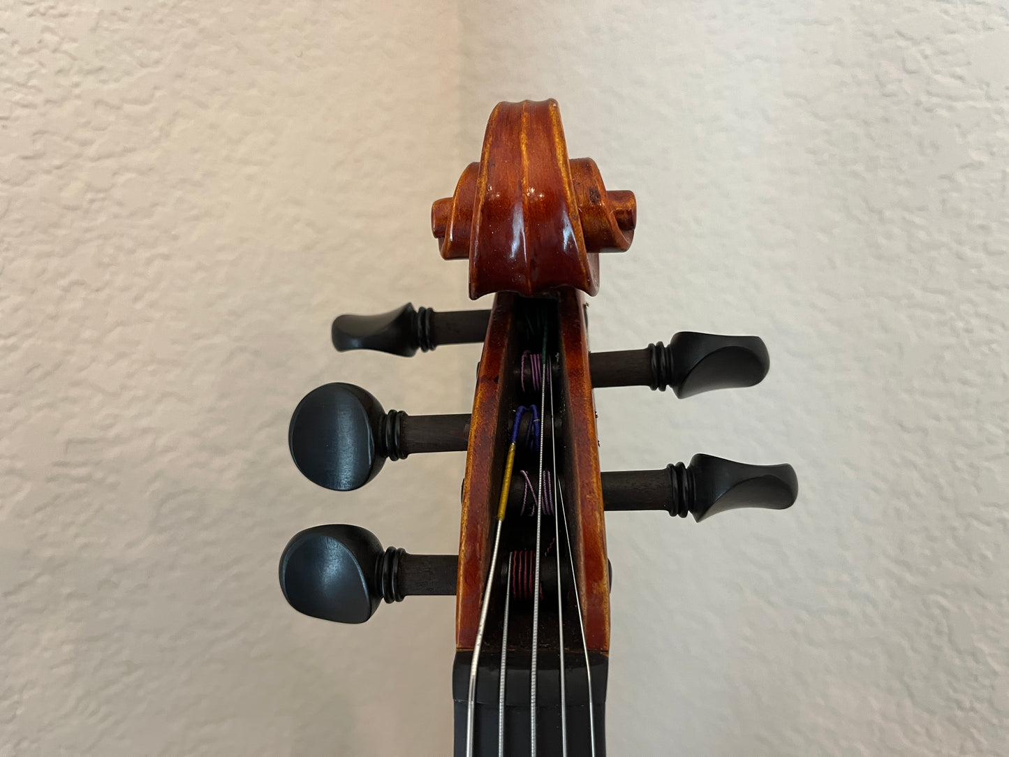 5 string fiddle, violin size but made from a 14" viola c. 2012