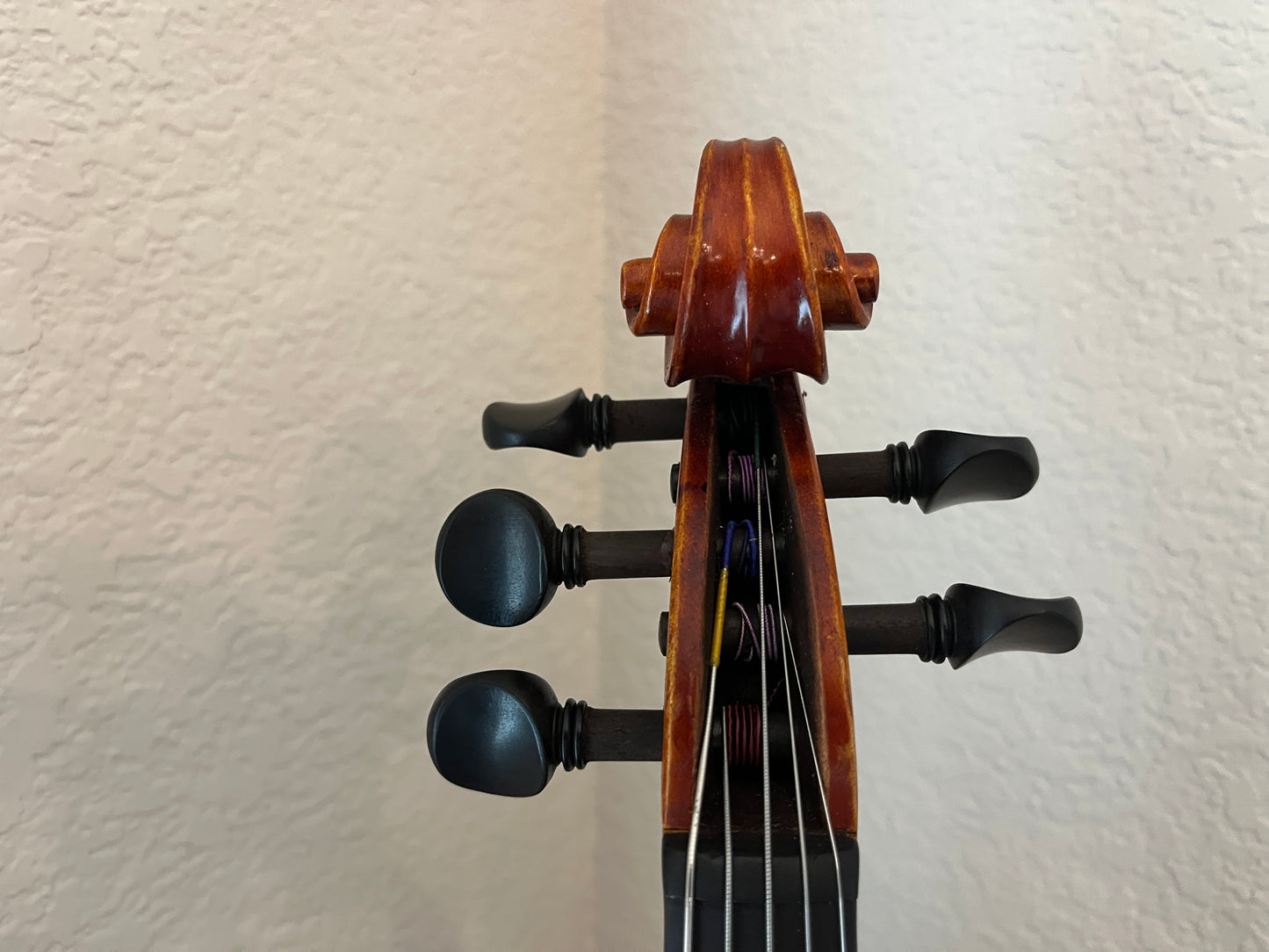 5 string fiddle, violin size but made from a 14" viola c. 2012