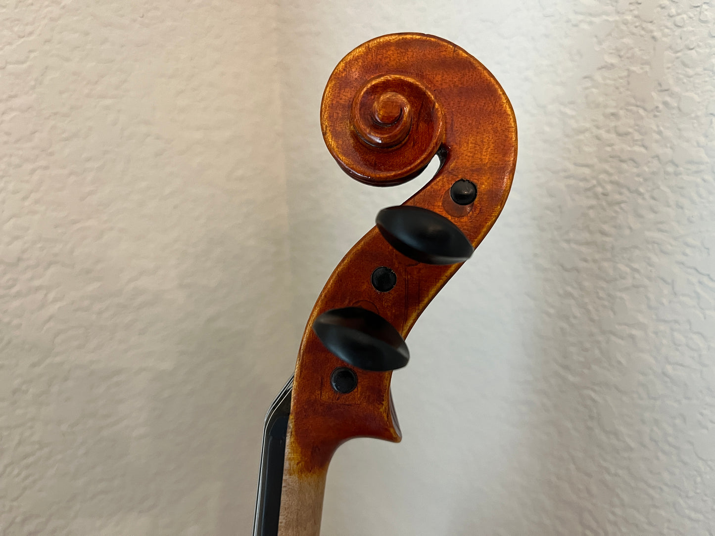 5 string fiddle, violin size but made from a 14" viola c. 2012