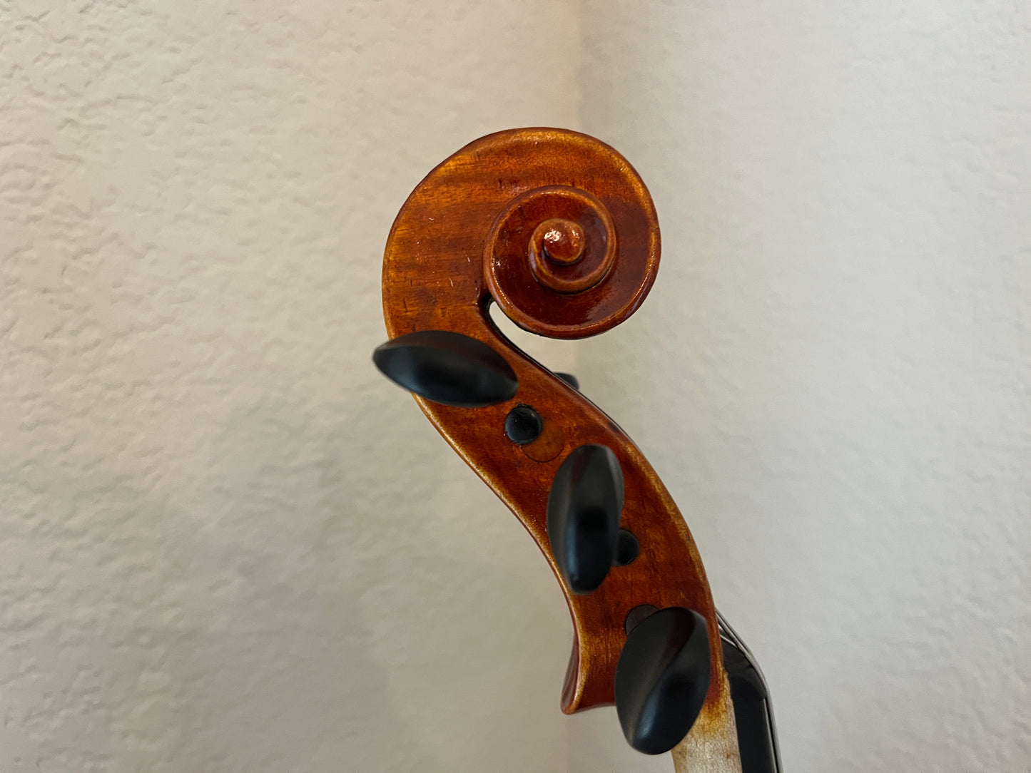 5 string fiddle, violin size but made from a 14" viola c. 2012