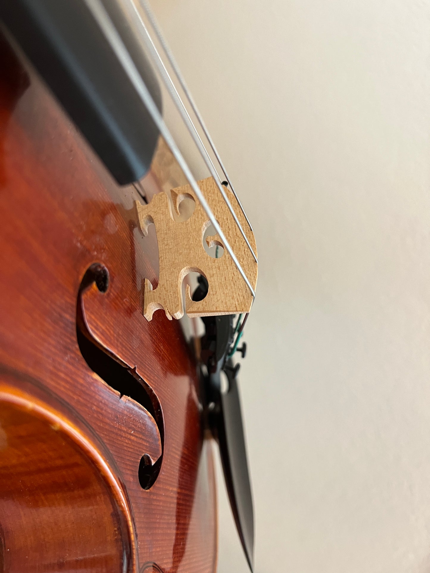 5 string fiddle, violin size but made from a 14" viola c. 2012